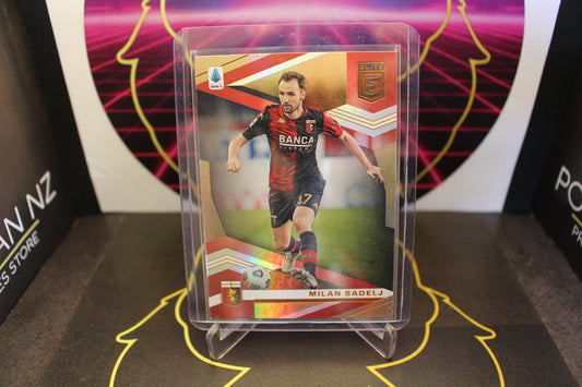 Football - Milan Badelj